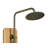 Meridian Wall Shower Polished