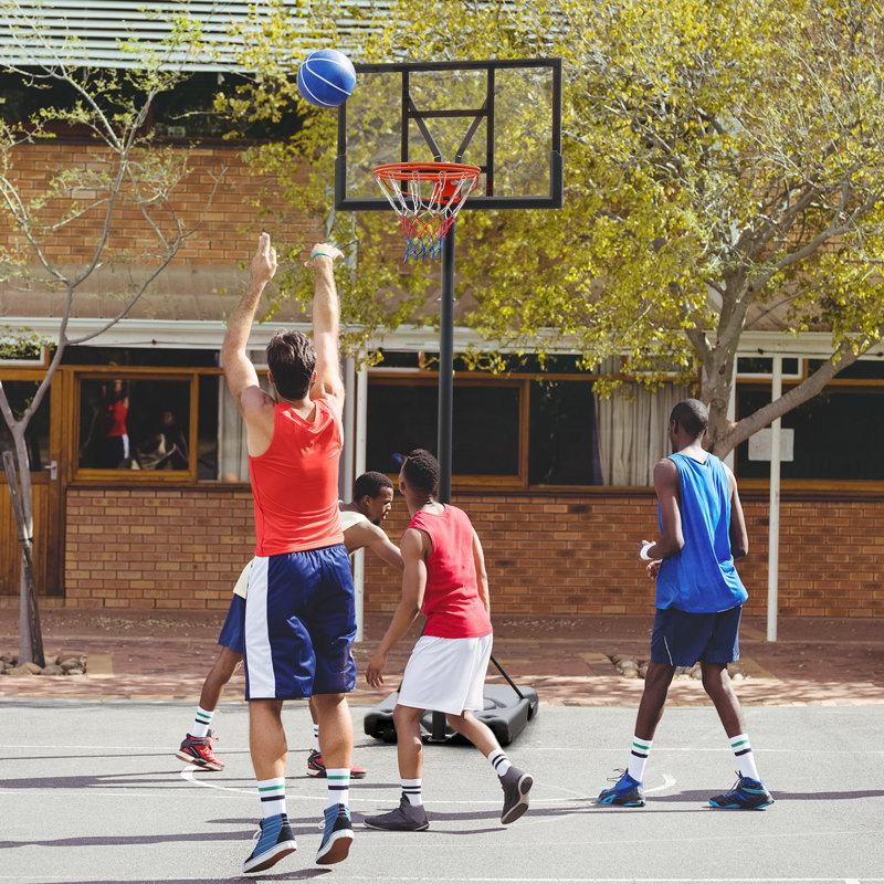 Cadre de basketball 110 * 70Cm Support de basketball réglable portable 149-305cm noir givré amovible