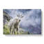 Mountain Goat Vol.2 - Wrapped Canvas-61842067