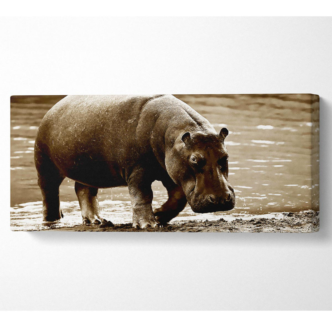 Hippopotamus Bath - Kunstdrucke auf Leinwand