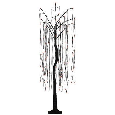 Arbres et branches éclairés