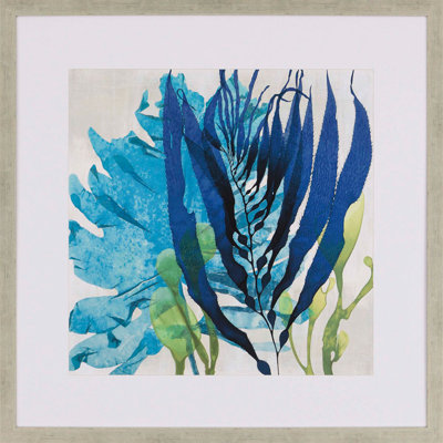 «Sea Nature II» par Miller - Peinture encadrée sur papier