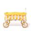 Folding Beach Cart-479549526
