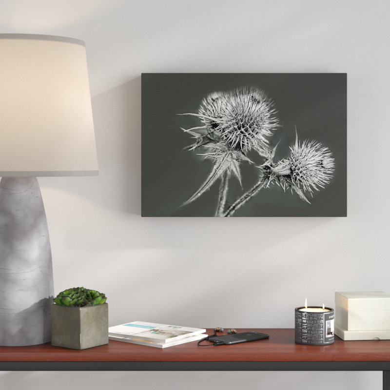 Thistle - Wrapped Canvas, 50cm H x 76cm W