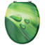 Klement Soft Close Round Standard Toilet Seat