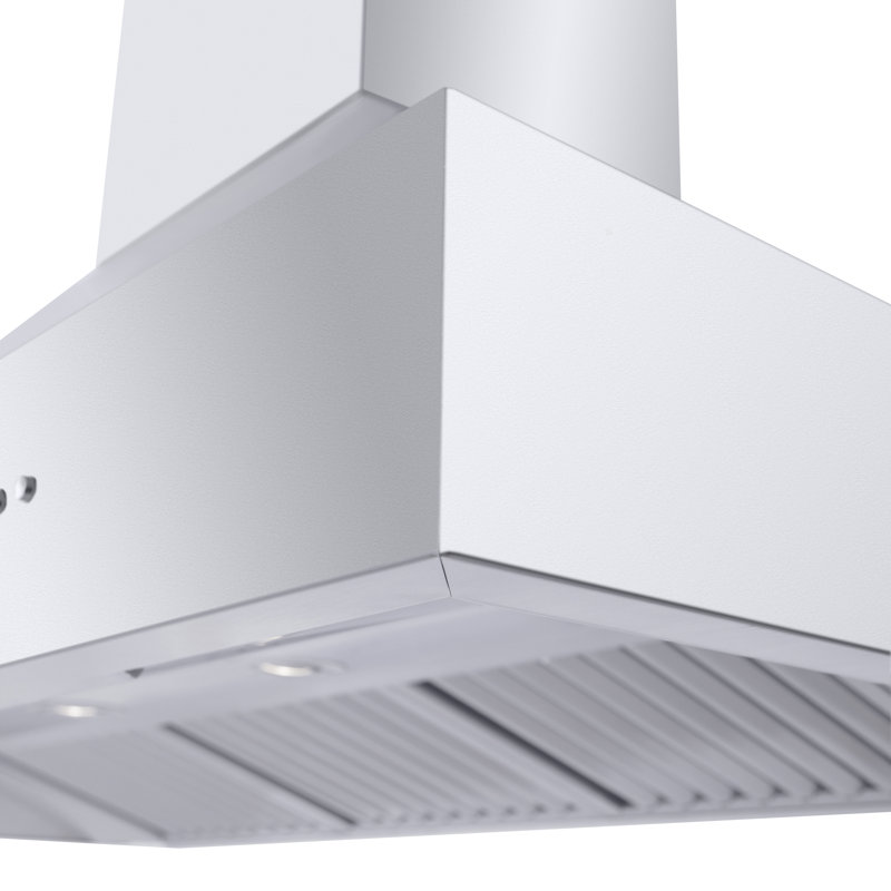 48" Professional Ducted Wall Mount Range Hood in Stainless Steel