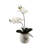 Orchid Arrangement in Planter