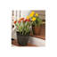 Pot à fleurs en pierre Burdette-851175616-872705441