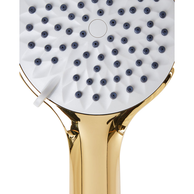 Shower Head and Hose Kit TARMA, Gold