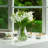 Clear Glass Vase 6.0" H 5.0" D