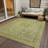 Machine Washable Indoor/Outdoor Claudian ACN1646 Cactus Rug-109535501