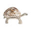 Presse-papier tortue