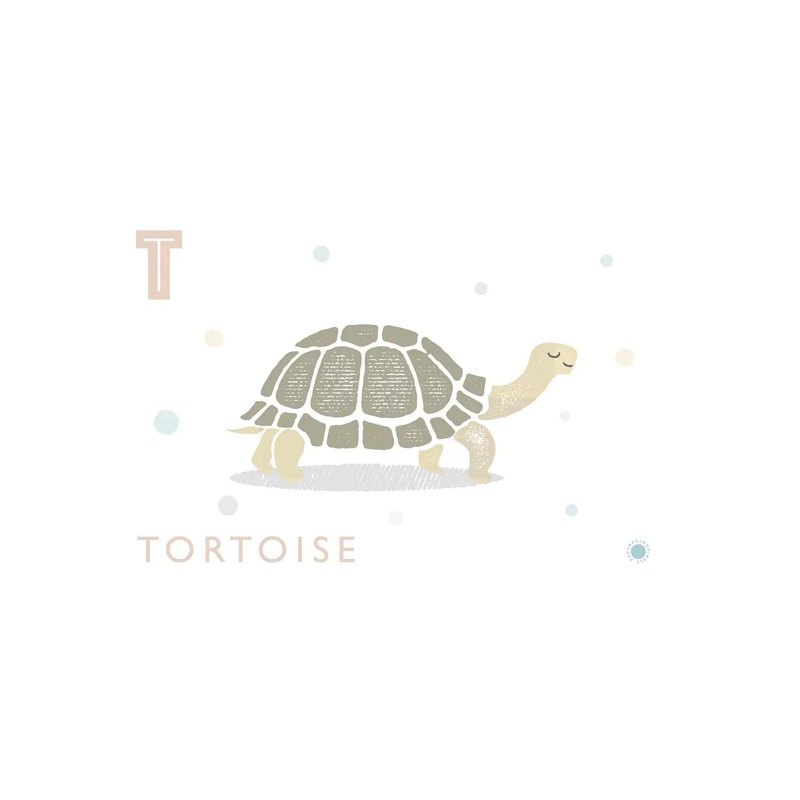 Tortue - imprimé, Toile tendue, H 26 po x l 40 po x 1,5 po, Aucun mat