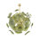 Lustre à disque Alan Mizrahi Fiore Verde Murano