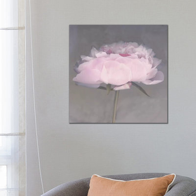 Jolie 1 Piece Wall Art on Canvas