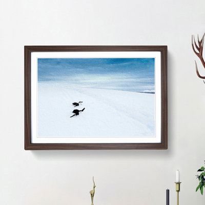 Playing Penguins - Picture Frame Painting Print