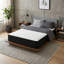 Matelas ferme 14 po en mousse à mémoire de forme hybride et ressorts ensachés en boîte-94796617