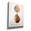 Toile épique Graffiti «Sienna Shell Collector 1» par Annie Warren, 40 po x 54 po-757185002