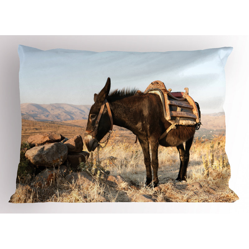 Donkey Sham Set, Twin