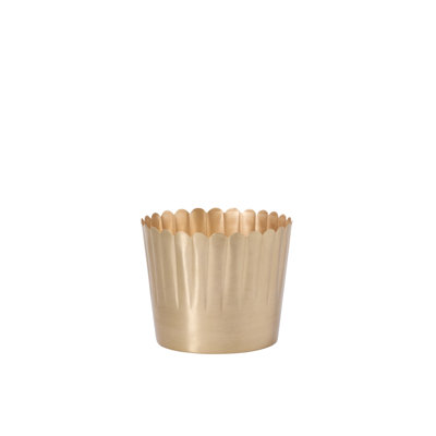 Pot Delicata 7,5 po x 6 po