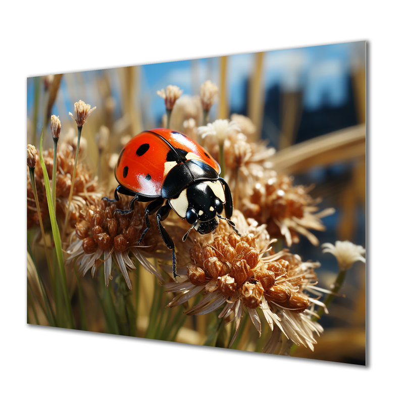 Coccinelle aventureuse I - art mural coccinelle, H 12 po x l 20 po x P 1 po