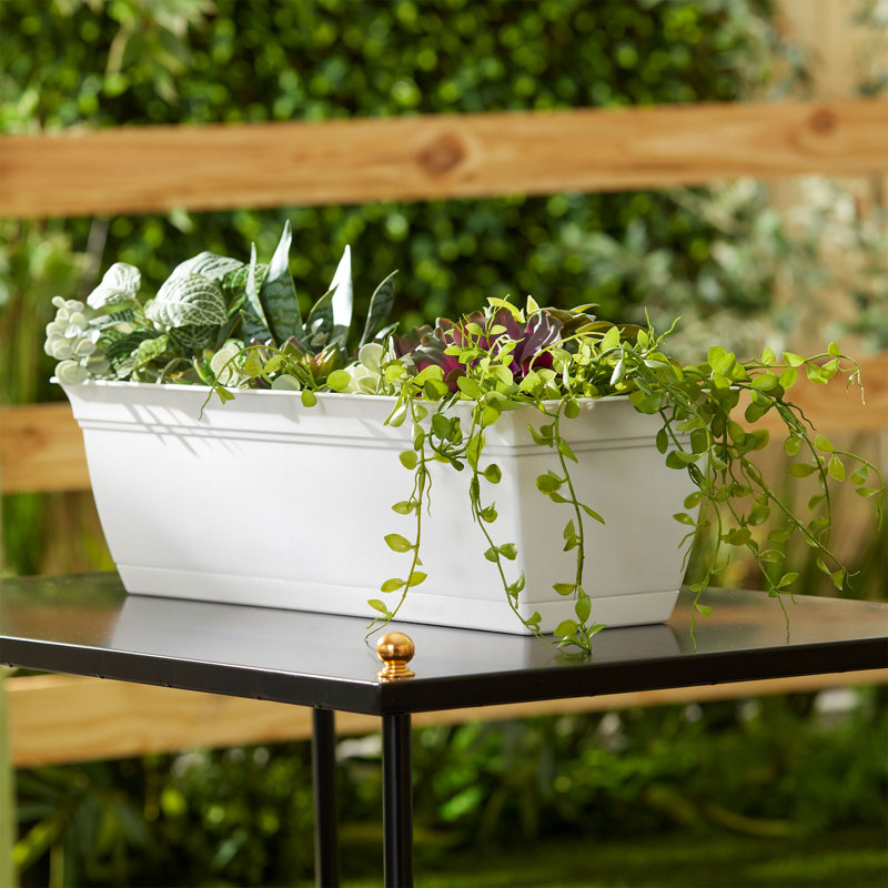 Katenia Planter Box