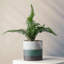 Handmade Ceramic Pot Planter