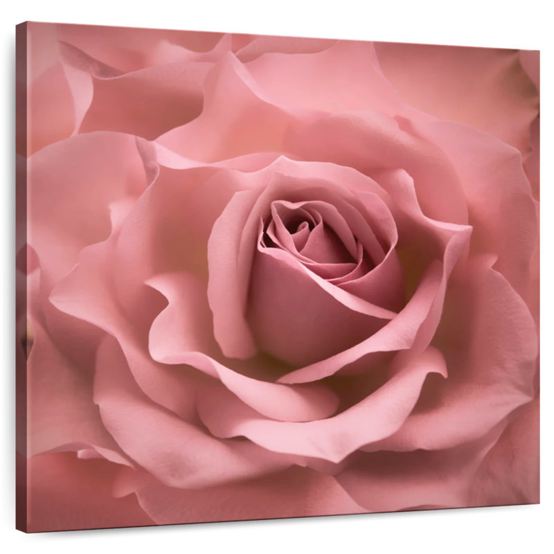 Harnek Misty Rose Pink Rose, 16" H x 16" W