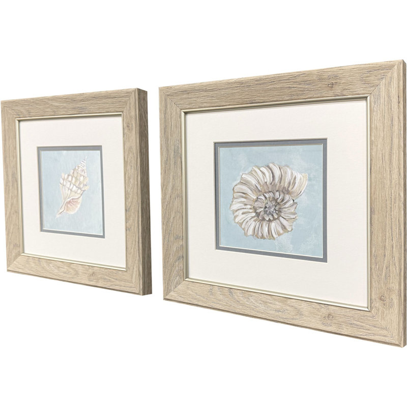 Seashells Framed Art