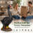 Resin Black Swan Garden Statue