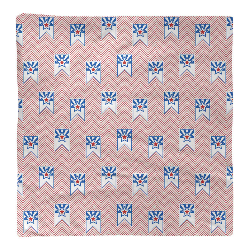 No Pattern Square Napkin, 22" x 22", Polyester