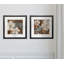 Flowers On Chocolate I - 2 Piece Single Picture Frame Print-41076286