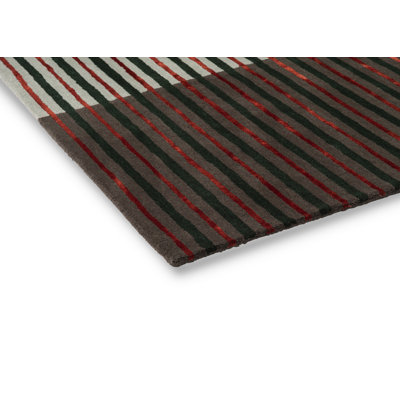Decor Proof Area Rug