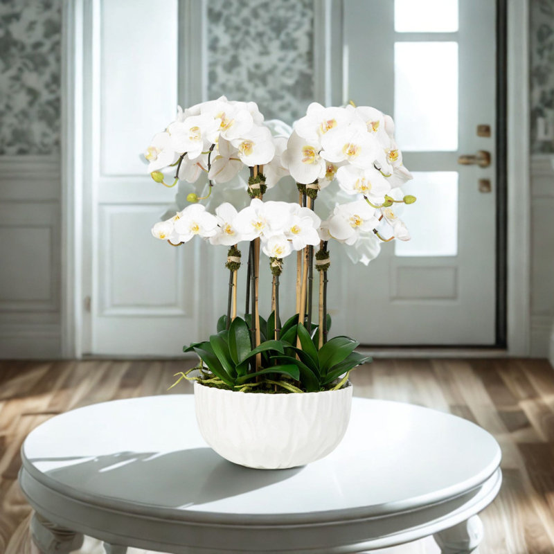 Orchid Arrangement In Vase, White