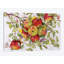 " Apples " by Marcia Matcham-29178521-72789855-72789860