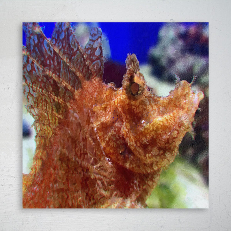 " Selective Focus Of Brown Sea Creature " Painting Print, 32" H x 32" W
