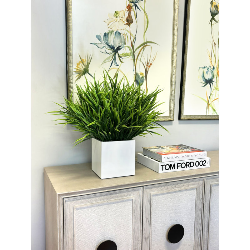 Grass Arranged in Square Planter