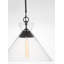 Luminaire suspendu noir à 1 lumière Bronsyn