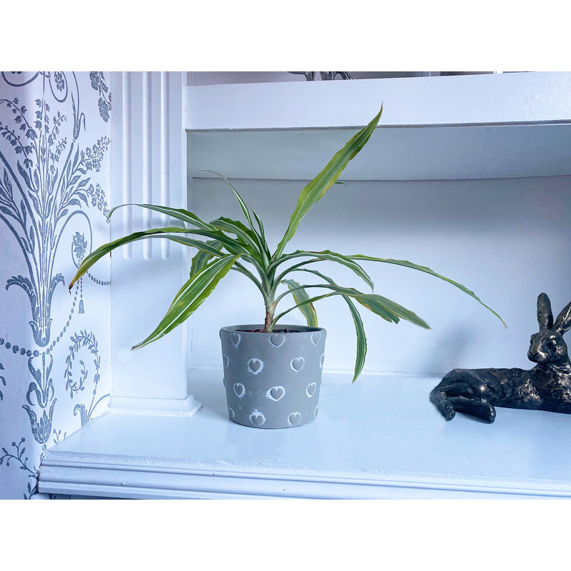 Riaria Planter Box, 12cm H x 14.5cm W x 14.5cm D