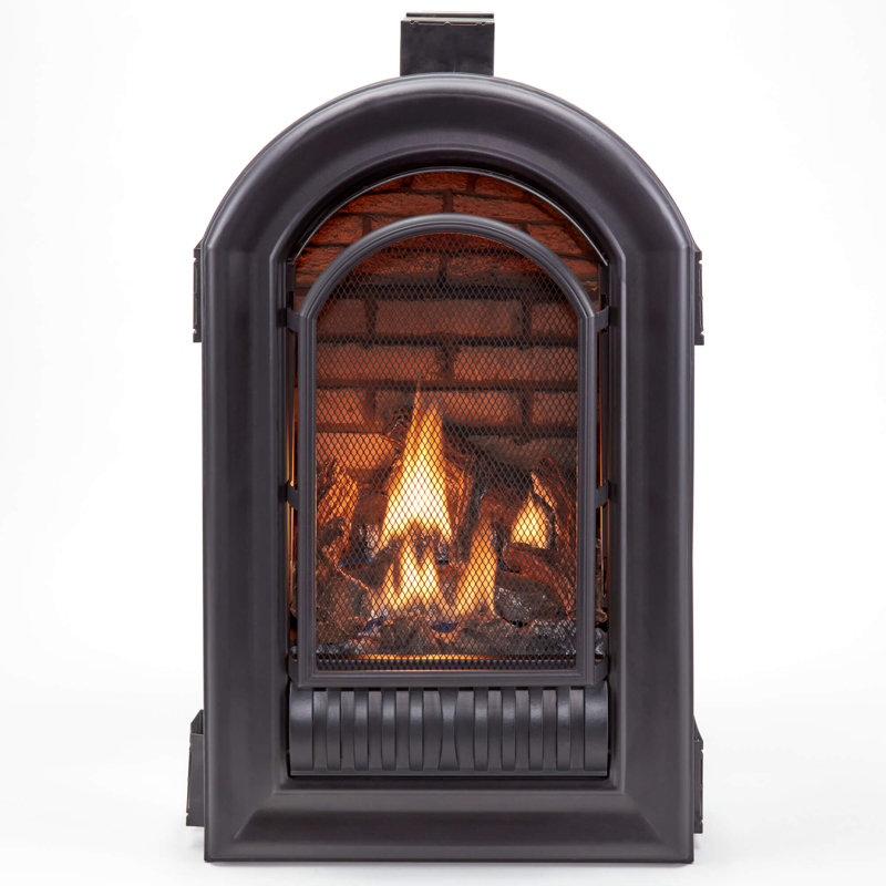HearthSense A-Series Liquid Propane Ventless Fireplace Insert - 20,000 BTU,Remote Control-Model#ALI