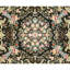 Hand Knotted Oriental Area Rug in Black
