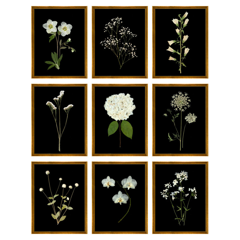 Pressed Botanical Giclees On Black Set by Sandy Whitaker, Antique Gold, 42.5" H x 51.75" W