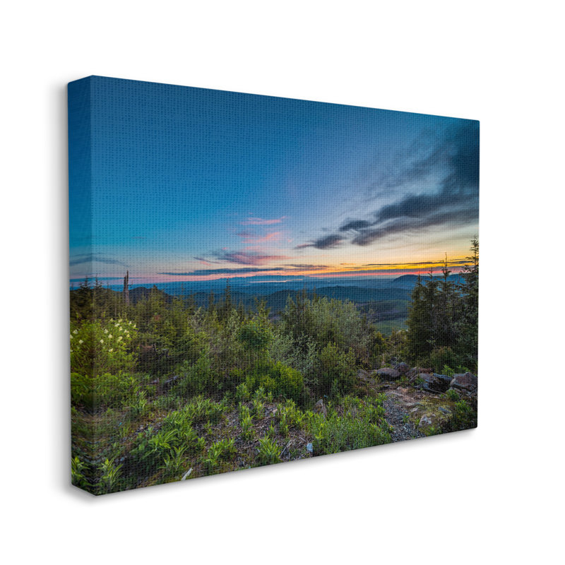 «Dense Brush Sunset Landscape Blue Sky Modern», H 36 po x l 48 po, Plaque de bois