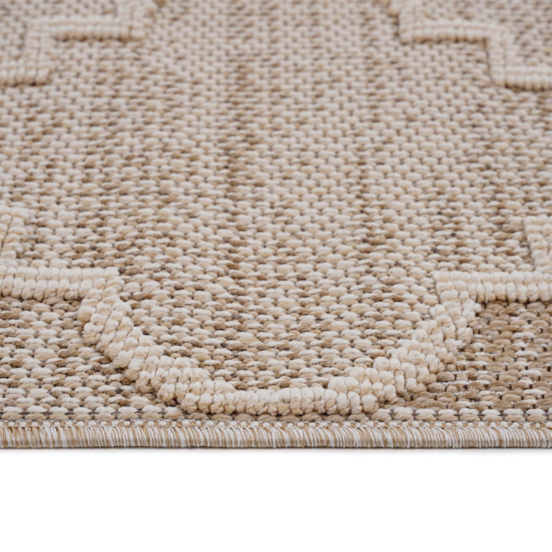 Traditional indoor/outdoor area rugs, Rectangle 4' x 6'2"