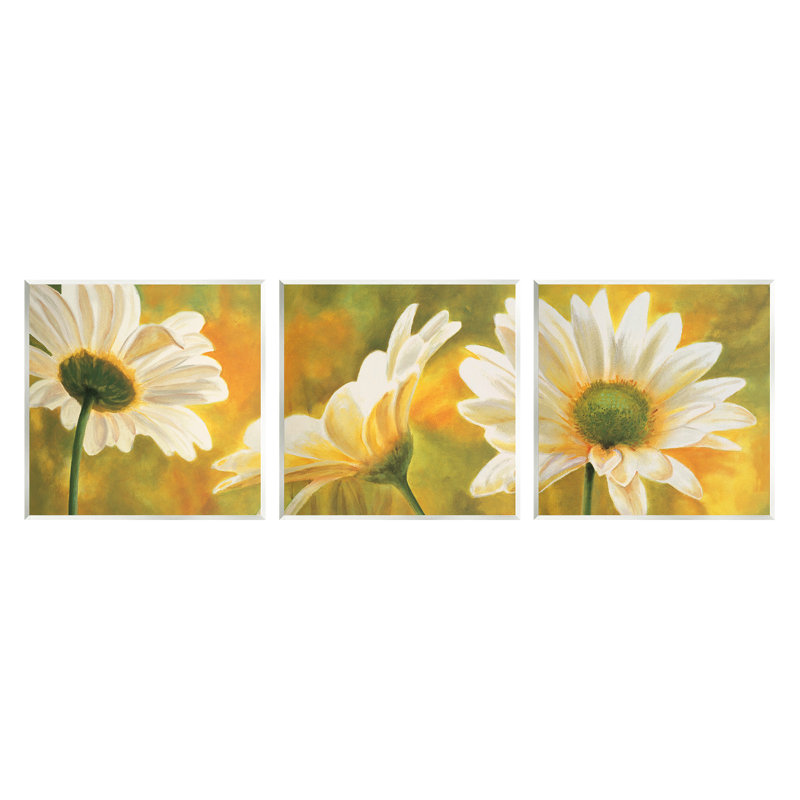 «Blooming Wild Daisies Field» par Pierre Viollet - peinture 3 pièces, H 12 po x l 36 po x P 0,5 po, Unframed