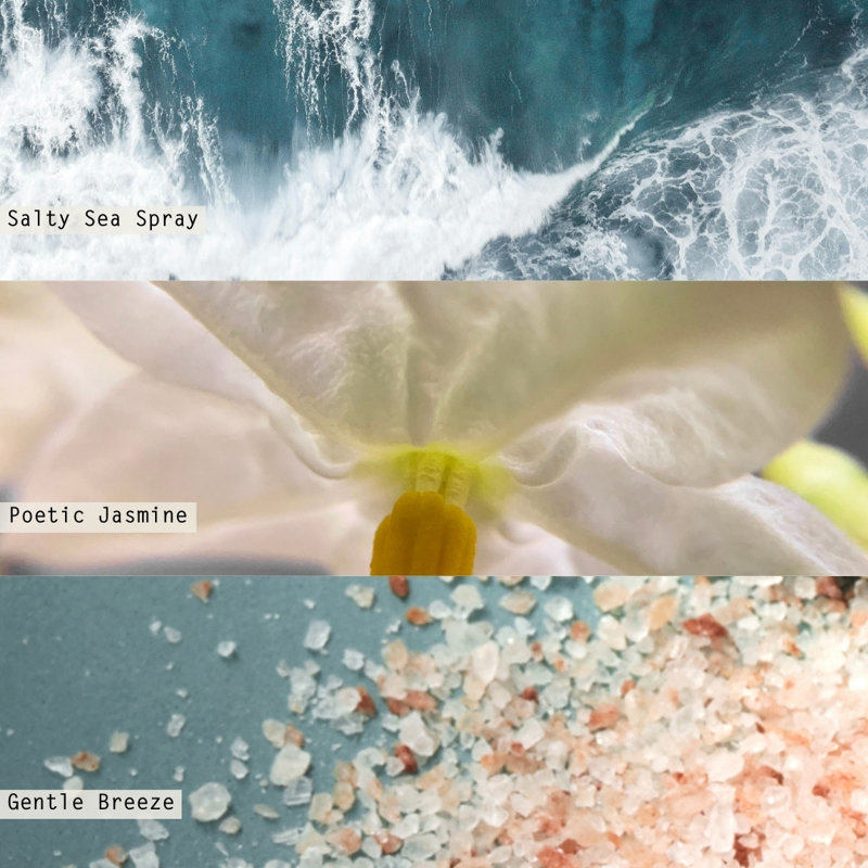 ILLUME Beautifully Done Essentials Fresh Sea Salt Statement Glass Scented Candle, Statement Glass