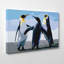 Modern picture- Wall Art-19091361