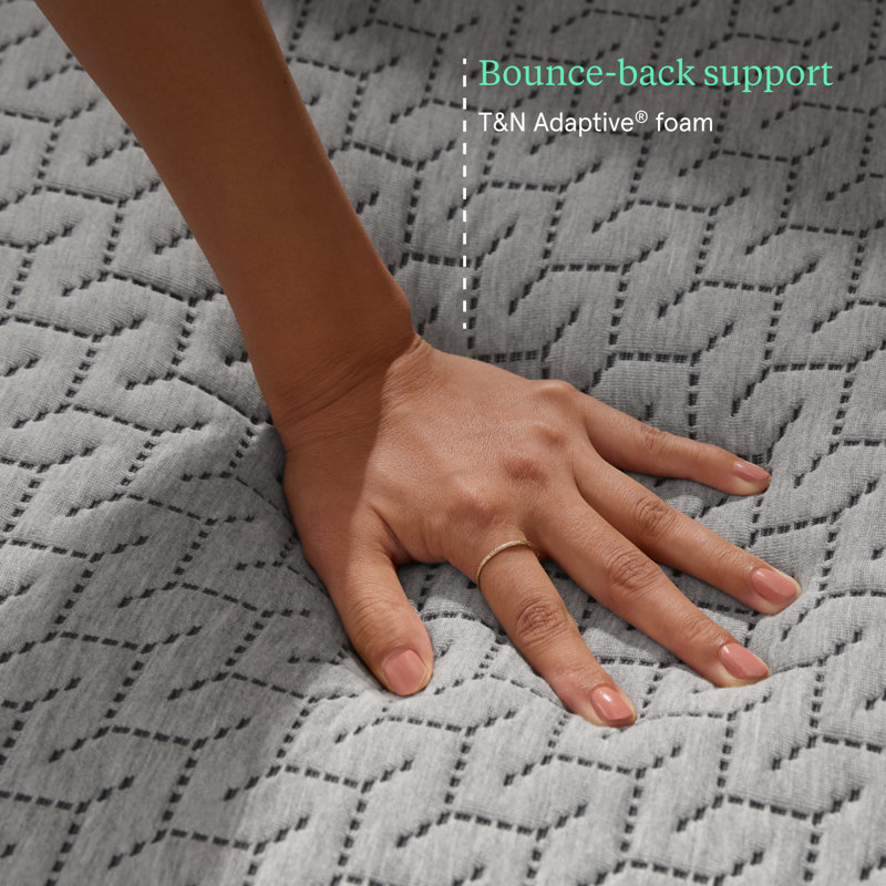 T&N Mint Foam Medium Plush 12" Mattress, Extra-long Twin