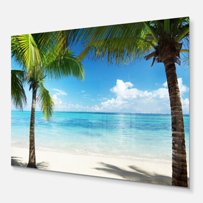 Coastal Palm Trees Sea, photographie sur toile - Palmiers et mer