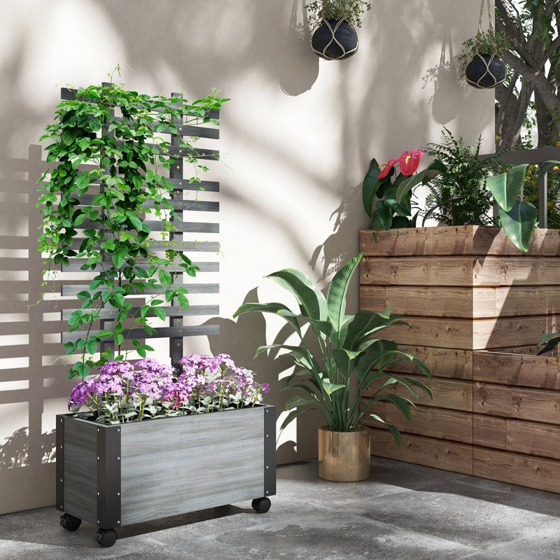 Chariot de jardin surélevé extérieur 58 "avec treillis et roues, pour plantes, gris Irrigating